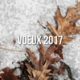 Voeux 2017