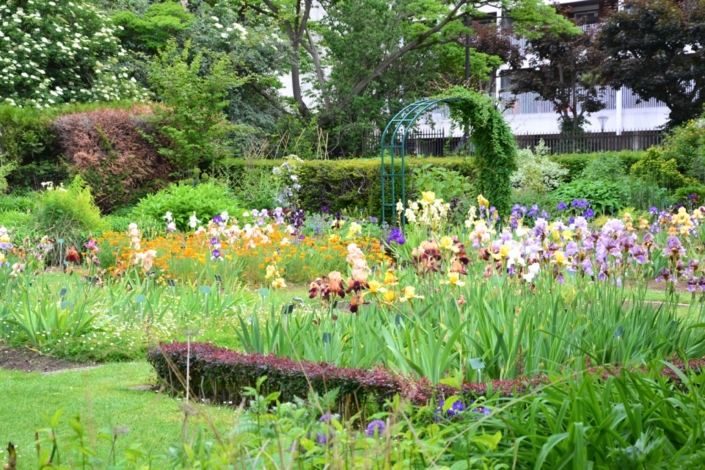 Au jardin des plantes