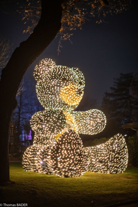 Le jardin d'acclimatation